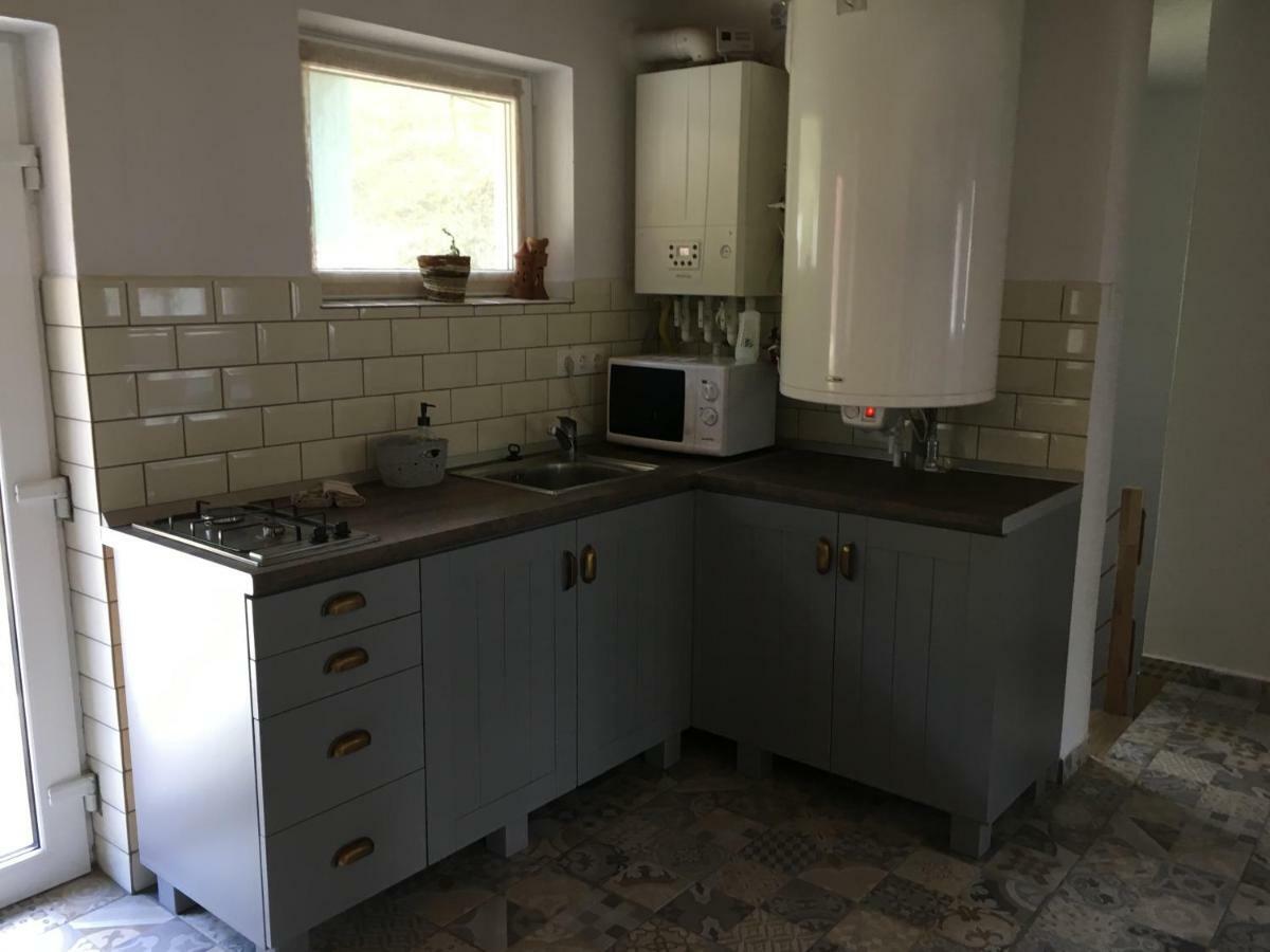 バイレ・トゥシュナド Casa Karola Haz Bed & Breakfast エクステリア 写真
